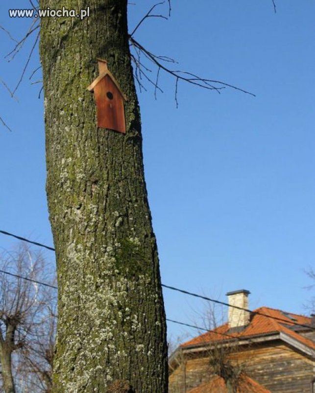 Bez serca.