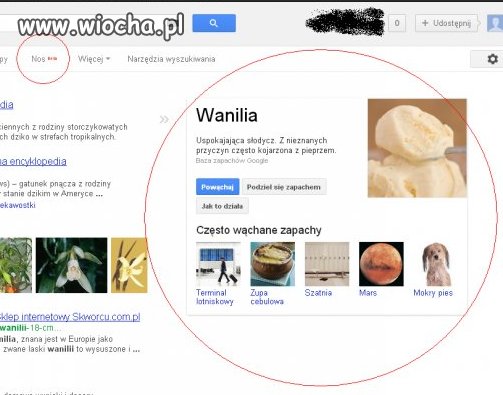 Dałeś się nabrać.