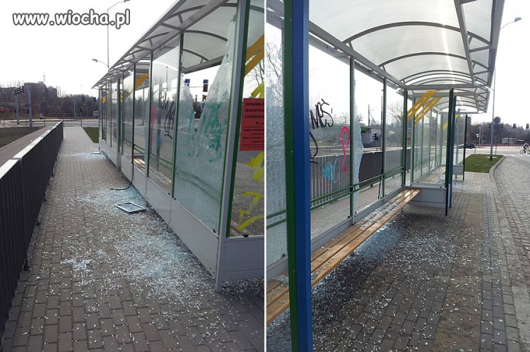 Jakim trzeba być kretynem?