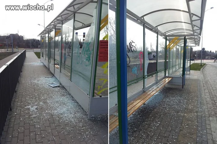 Jakim trzeba być kretynem?