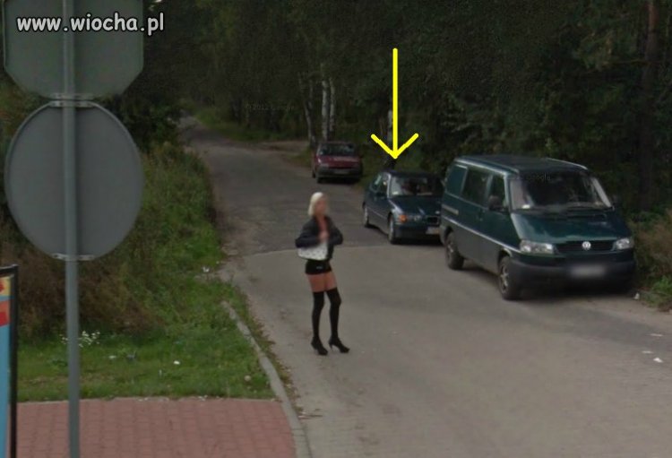 Leśne ssaki budzą się ze snu zimowego 