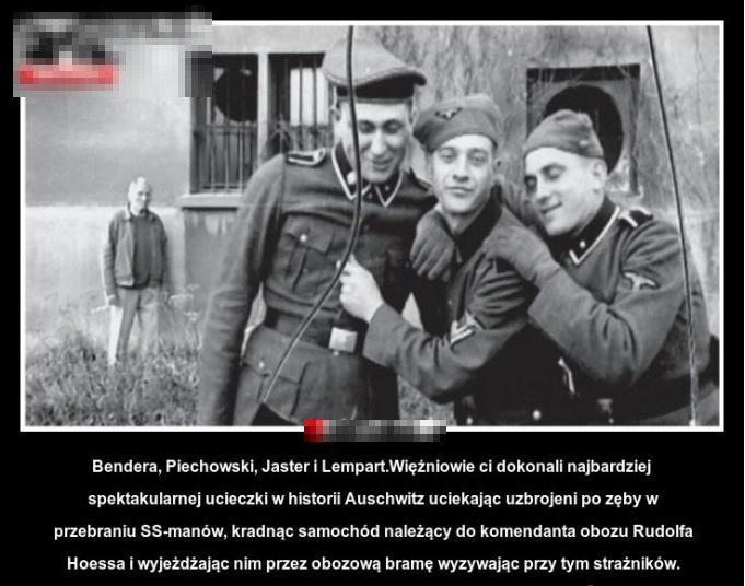 Gdy czytam takie rzeczy jestem dumny z Polaków.