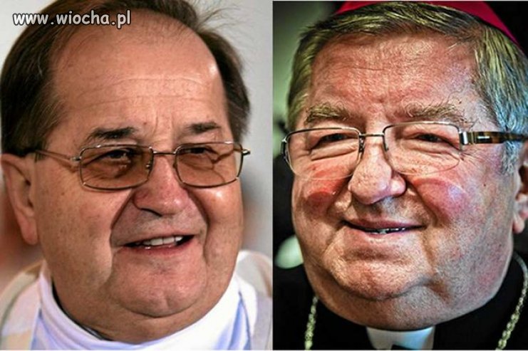 Pasożyty . . . 