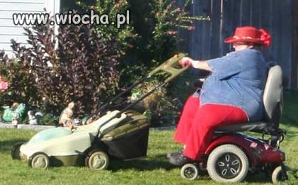 Wyjątkowy szczyt lenistwa 