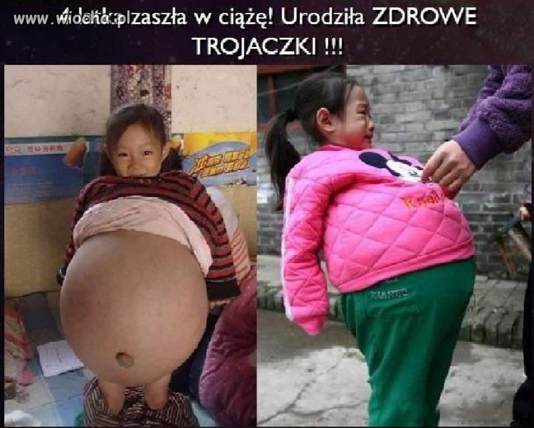 Świat schodzi na psy...