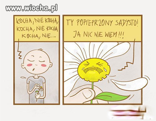 Sadysta