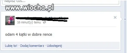 Odam 4 kątki...