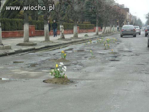 Wreszcie Wiosna...
