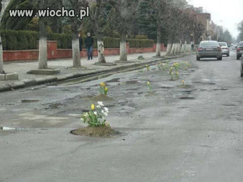 Wreszcie Wiosna...