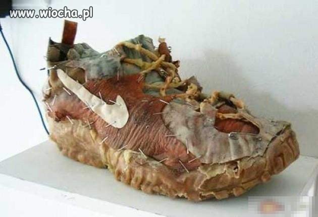 Stylowe buty w sam raz na wyjście do lasu 