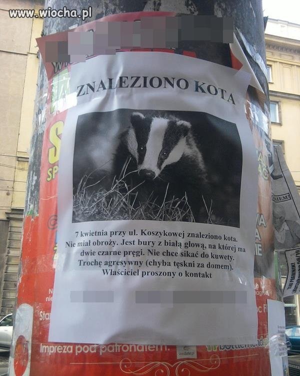 Boże, widzisz a nie grzmisz !!!