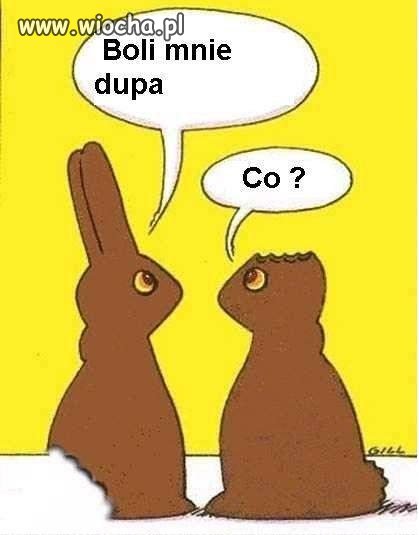 A Ty od czego zaczynasz?