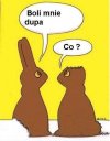 A Ty od czego zaczynasz?