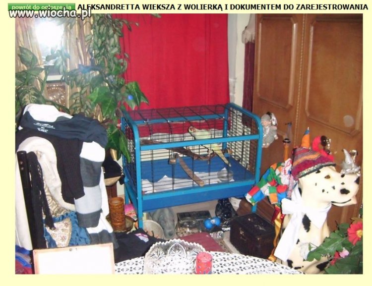 Pewne ogłoszenie 