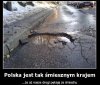 Polskie drogi