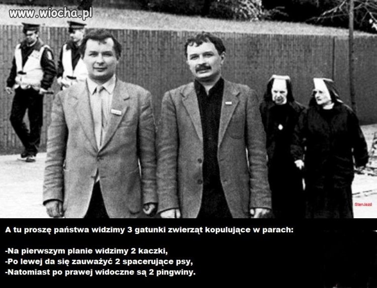 Wiosna w zoo 
