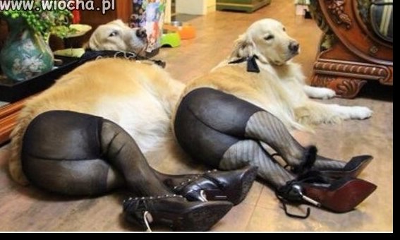 Sexy...
