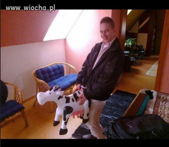 Takie tam z krówką