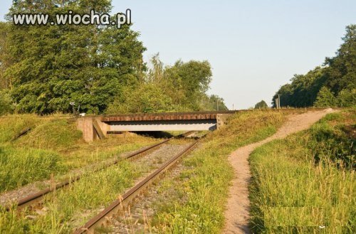 Niskotorówka???...