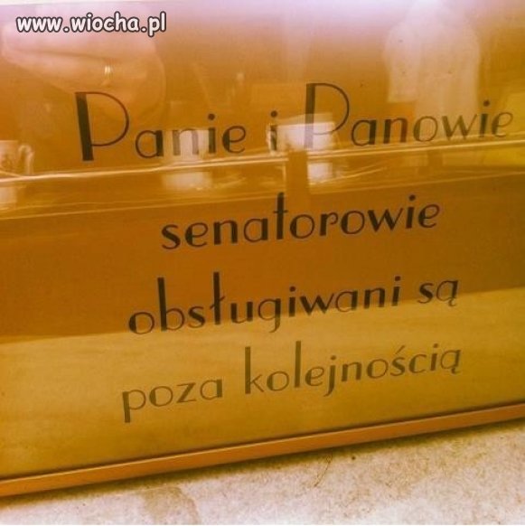 A ponoć święte krowy są tylko w Indiach