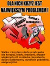 Tematy zastępcze
