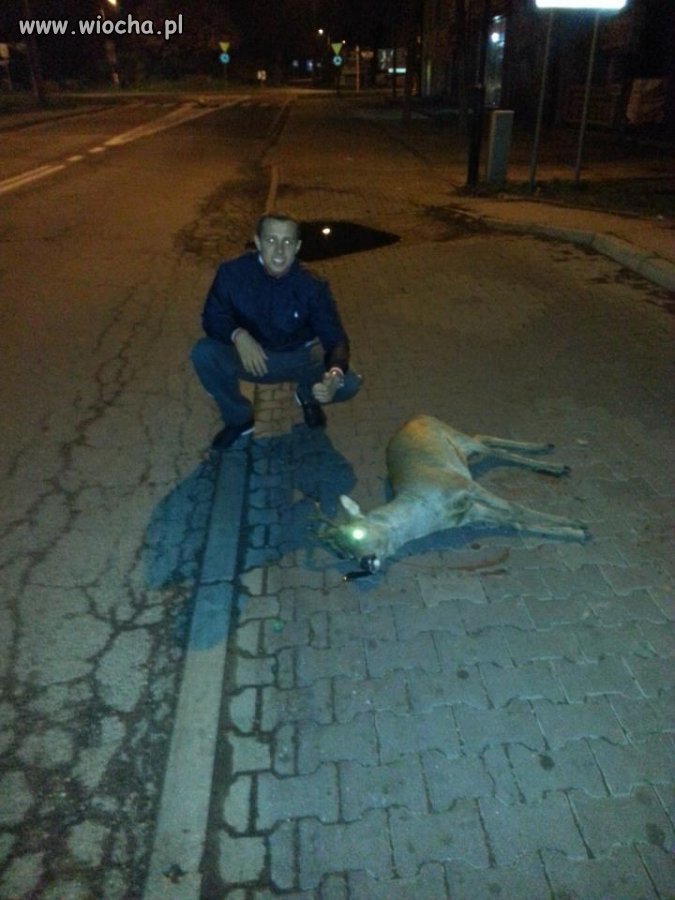Czym tu się szczycić...