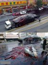 Niezbyt udany transport wieloryba