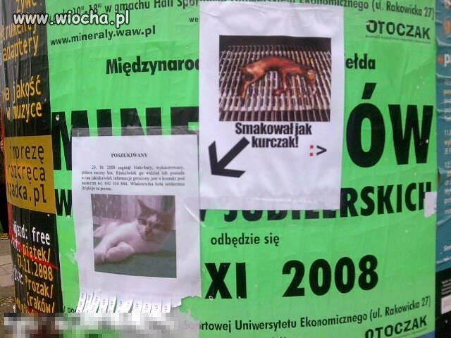 Był kotek