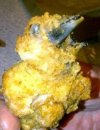 W Kanapce KFC