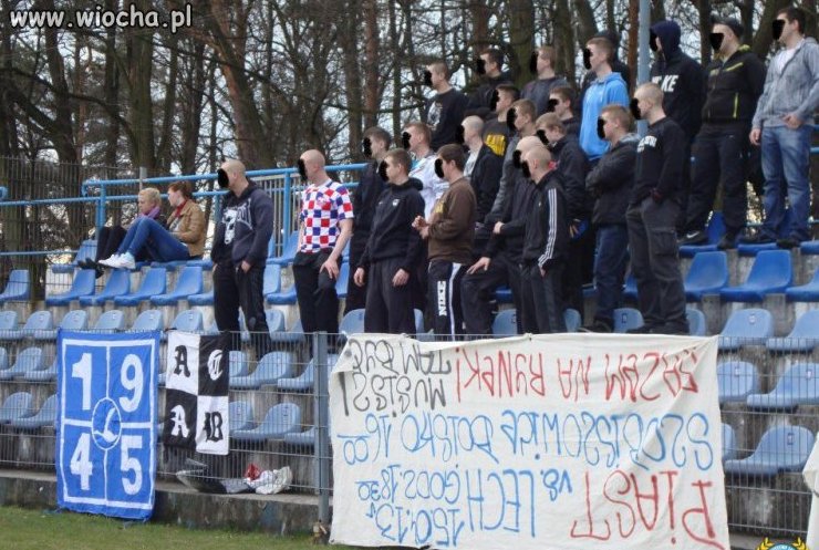 TorĆipa Gliwice