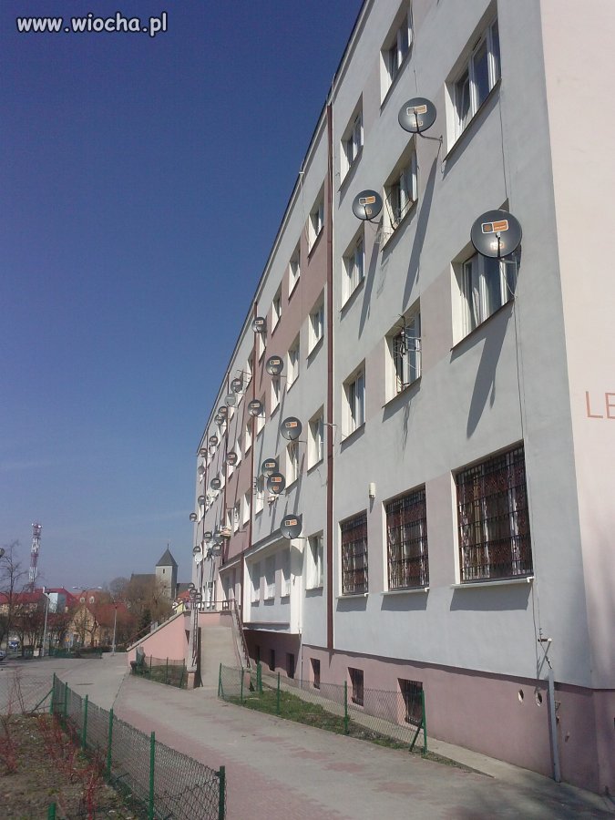 Z cyklu