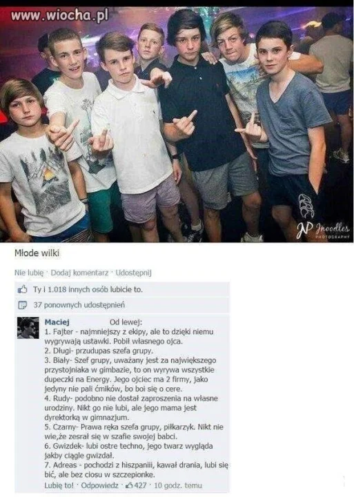 Młode Wilki ha ha ha 