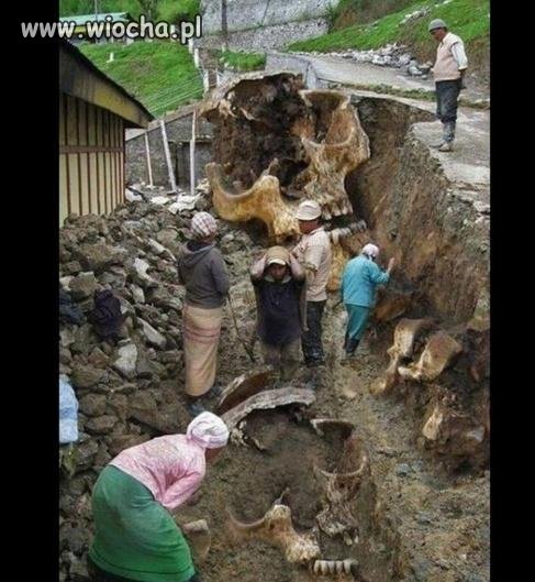 WTF?  CO TO JEST