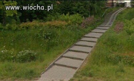 Wiocha na mieście