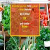 Number 