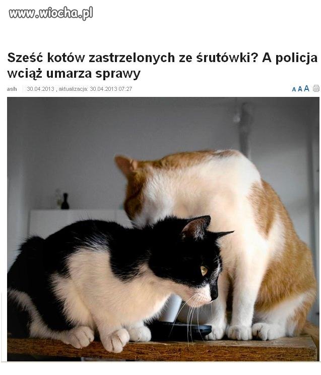 Oko za oko
