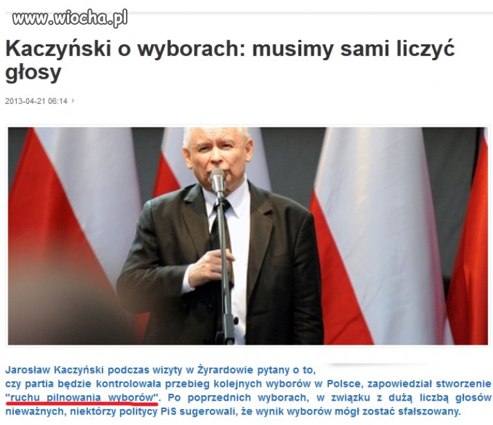 Ruch pilnowania wyborów