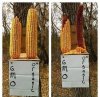 To jest właśnie 
