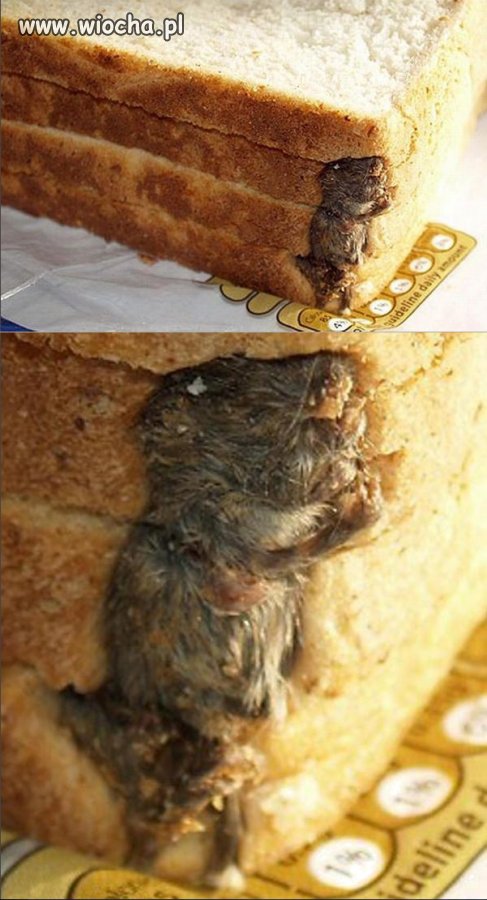 Na śniadanie ...
