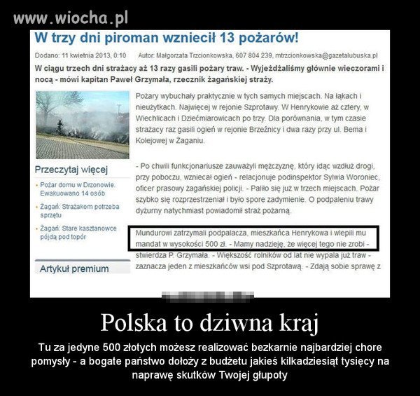 Dziwny jest ten kraj...