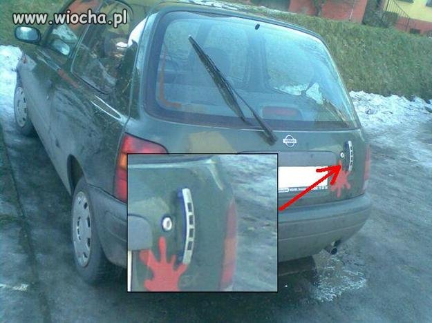 Z serii polak potrafi...