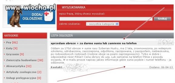 Zamienić Psa za telefon ... 