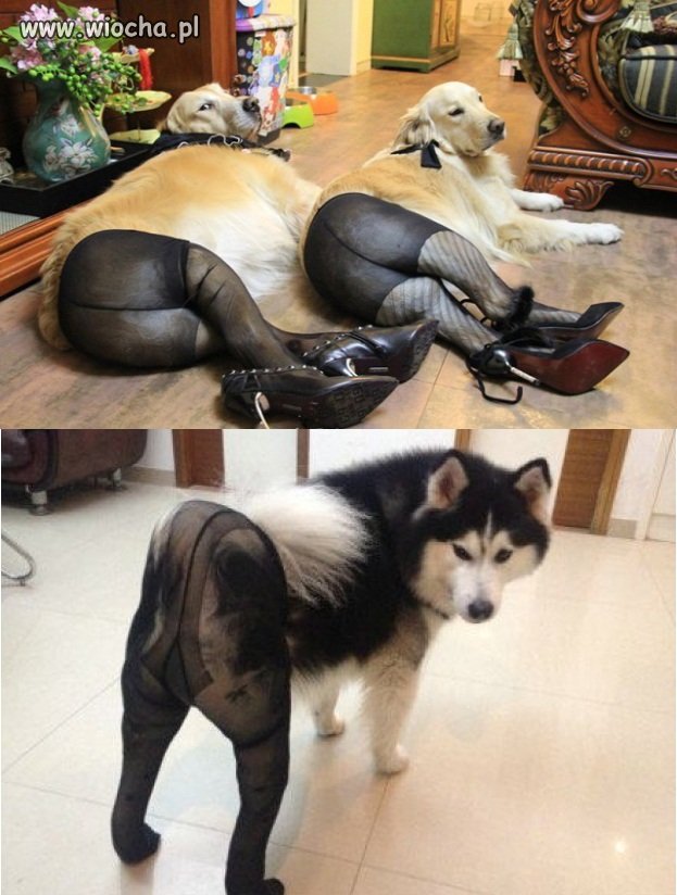 Nowa moda prosto z Chin