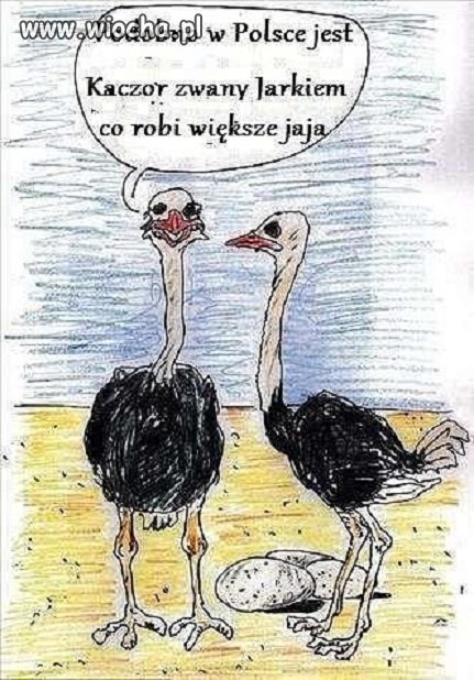 Nie ma się czym chwalić