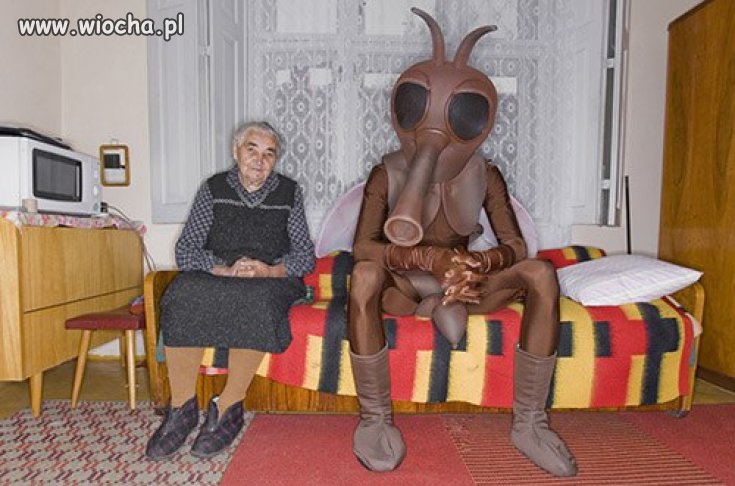 Takie tam z babcią...