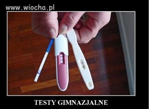 Testu Gimnazjalne 