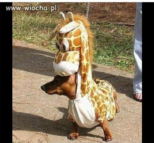 Upokorzenie dopada każdego