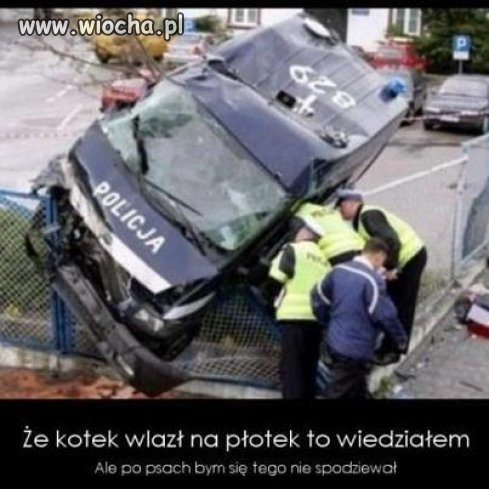 Sami uczą przepisów