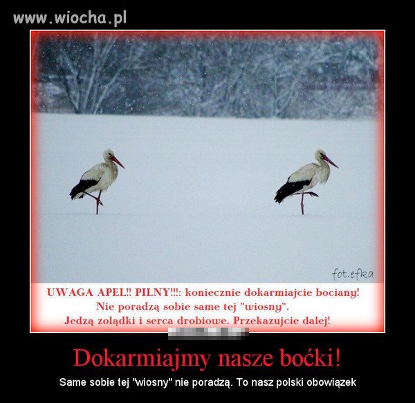Pomóżmy żeby przetrwały 