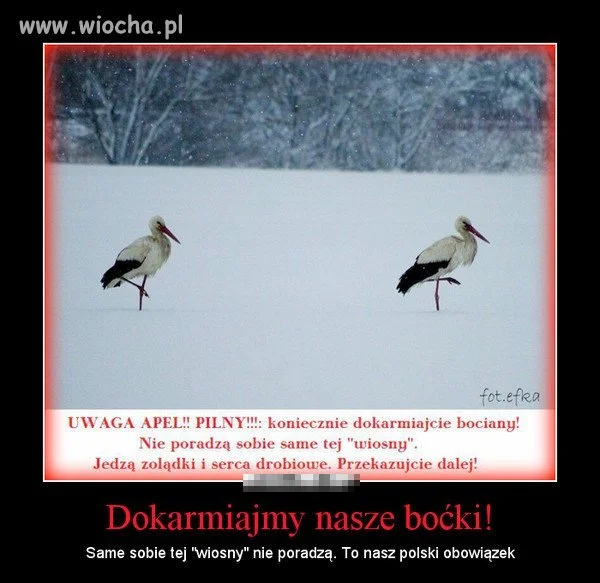 Pomóżmy żeby przetrwały 